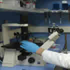 Identificar los genes responsables de los tumores es la base del futuro de la oncología, según un experto