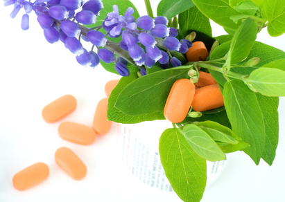 De Uso más Frecuente Remedios Herbarios