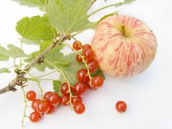 Aliviar la Tensión y la Curación del Corazón con Bergamota