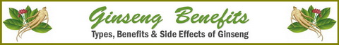 Ginseng Benefits